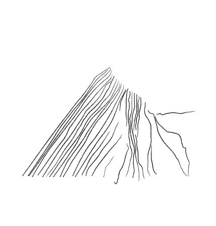ilustraciones_apariencia-07.jpg