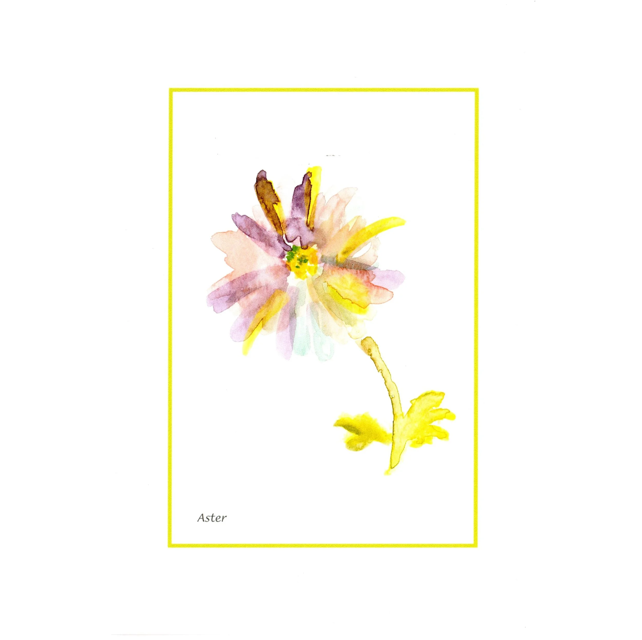 Card Pastel Aster  cdwcast3 sq.jpg