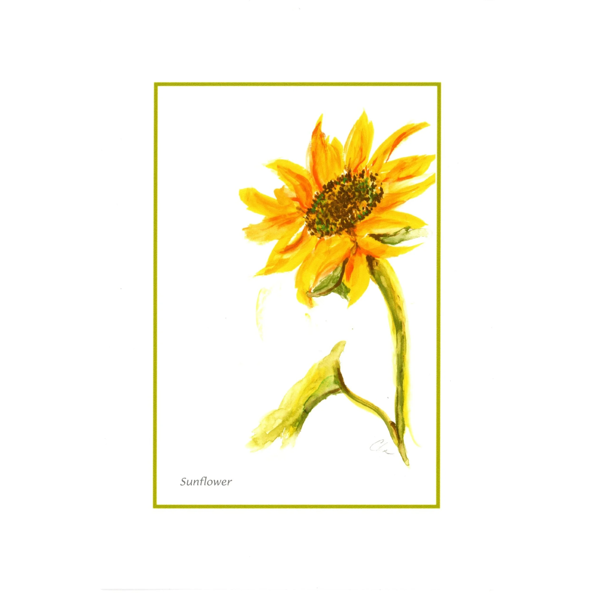Card Sunflower  cdwcflsu sq.jpg