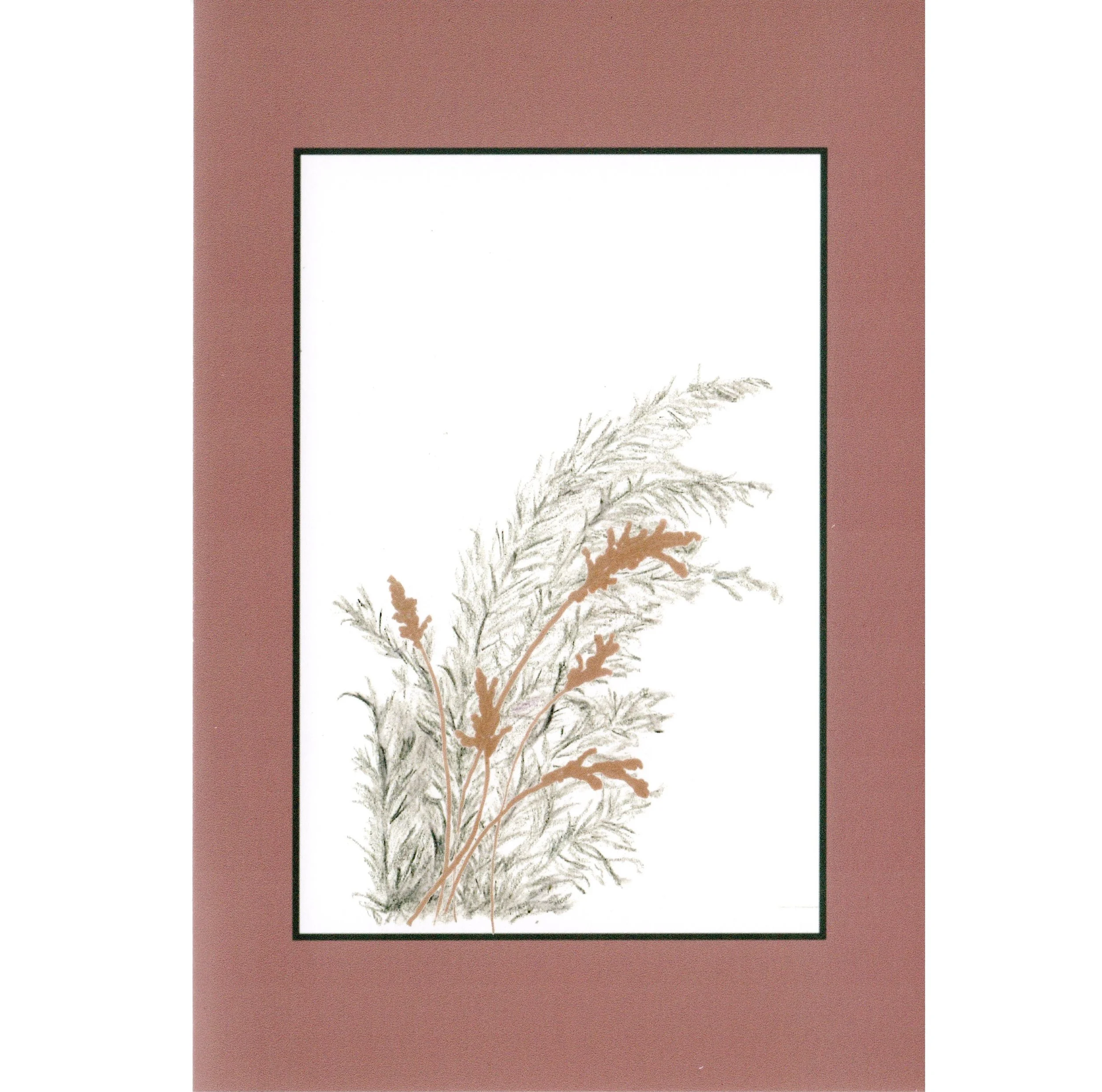 Card grasses  cdgrass sq.jpg