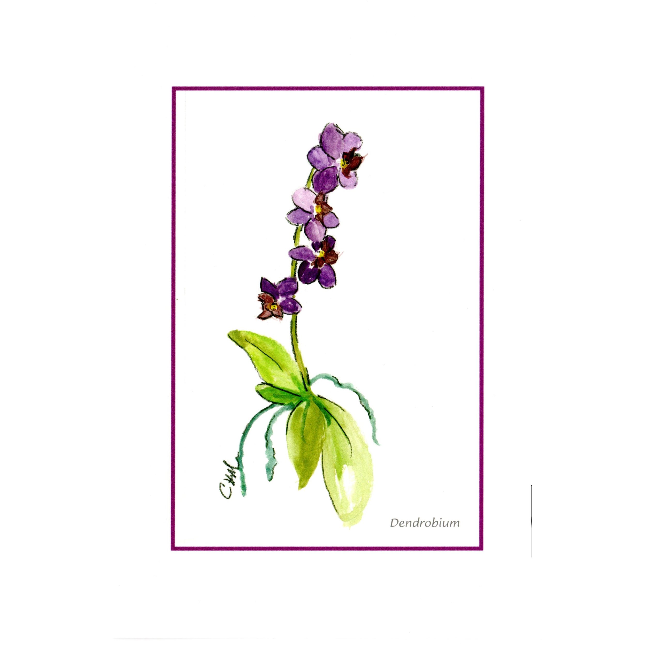 Card Dendrobium cdwcdend sq.jpg
