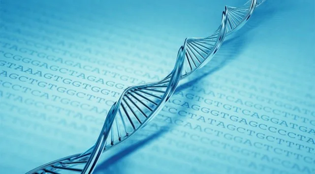 RESEARCHERS AIM TO STORE ALL OF HUMAN KNOWLEDGE FOR ETERNITY VIA DNA
