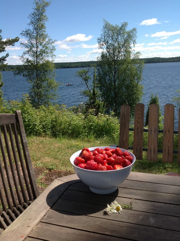 A Missive from Sweden: Glad midsommar! (Happy Solstice!)