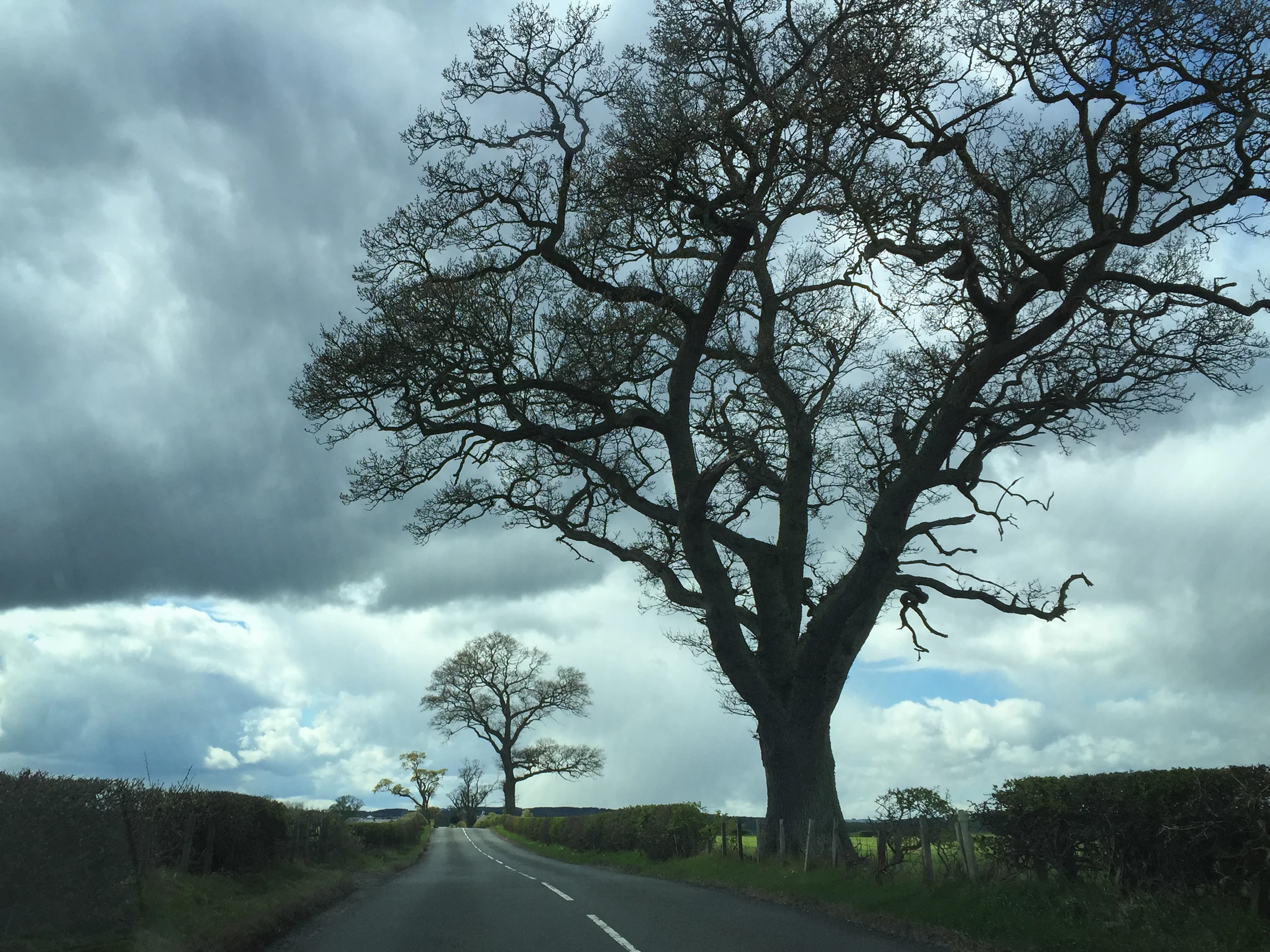 Scotland, Part 1: The Borders – Kelso, Melrose, and Edinburgh