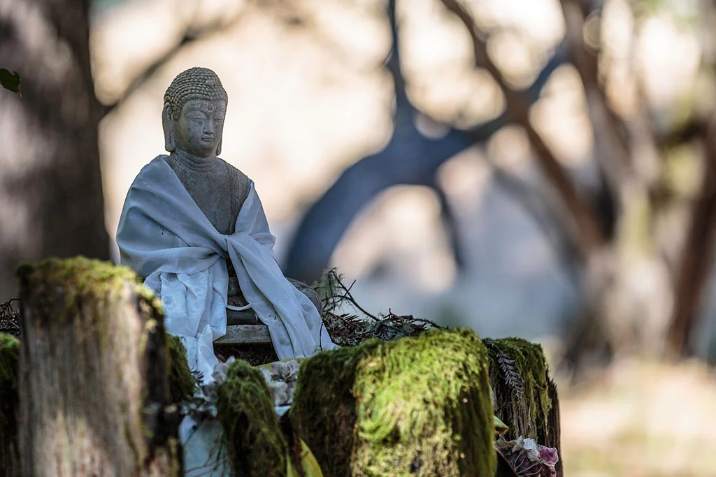 ratna-ling-Buddha.jpg
