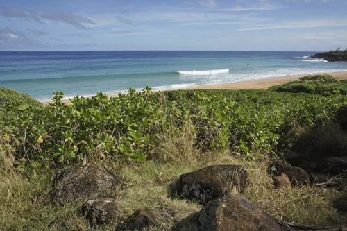 View of Donkey Beach from the Kapa'a Multi-Use Path (The Ke Ala Hele Makalae Path)