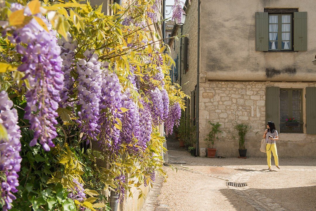 LAST CHANCE FOR EARLY BIRDS... | Contemplating joining us in Provence this May? (I mean, you *absolutely* should!) Well, early-bird pricing ends Sunday 2/2 and only a few rooms remain, so don't delay! Take the plunge &mdash; we guarantee you won't re
