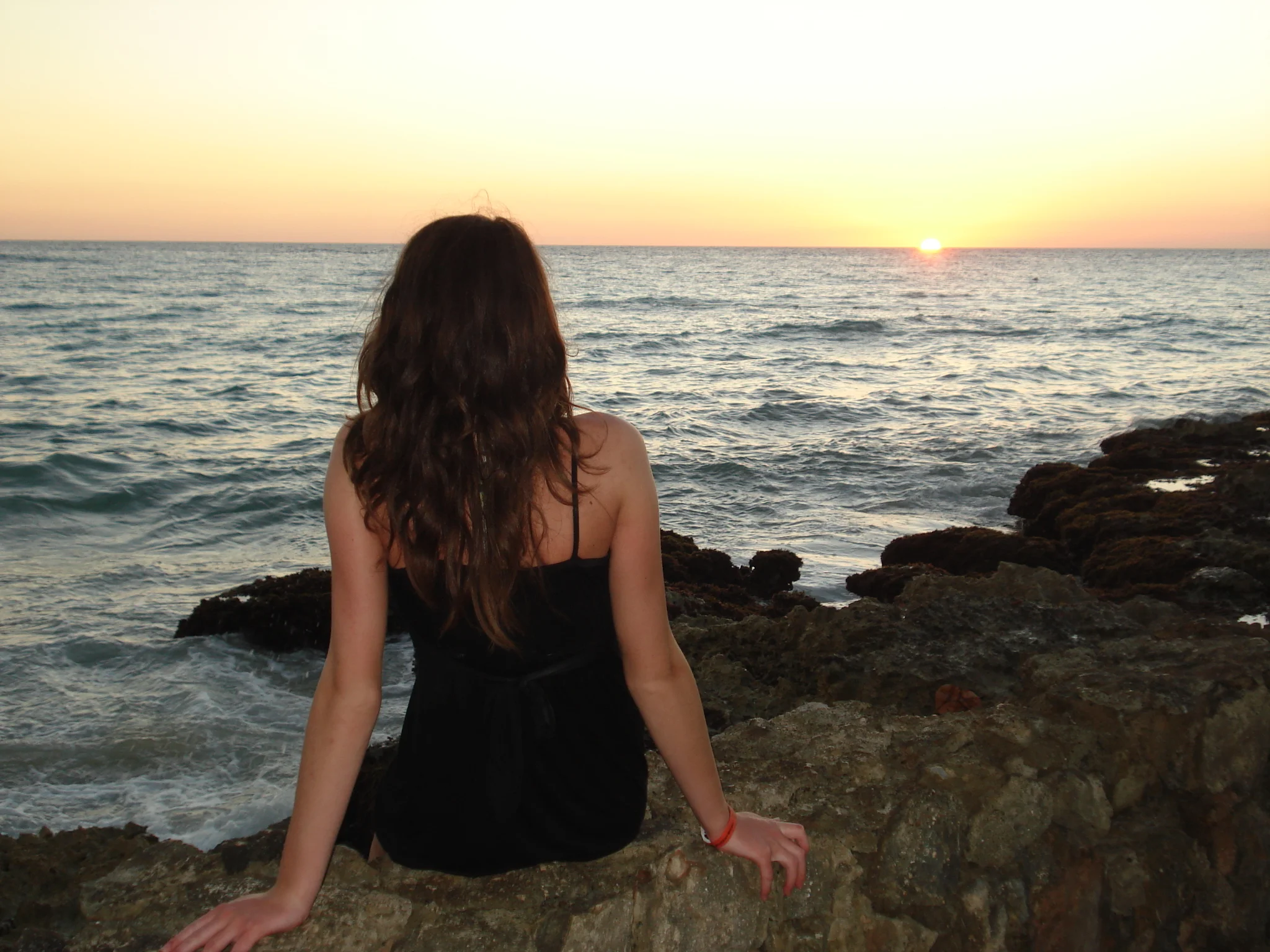 UNE BELLE TÊTE DE COCHON