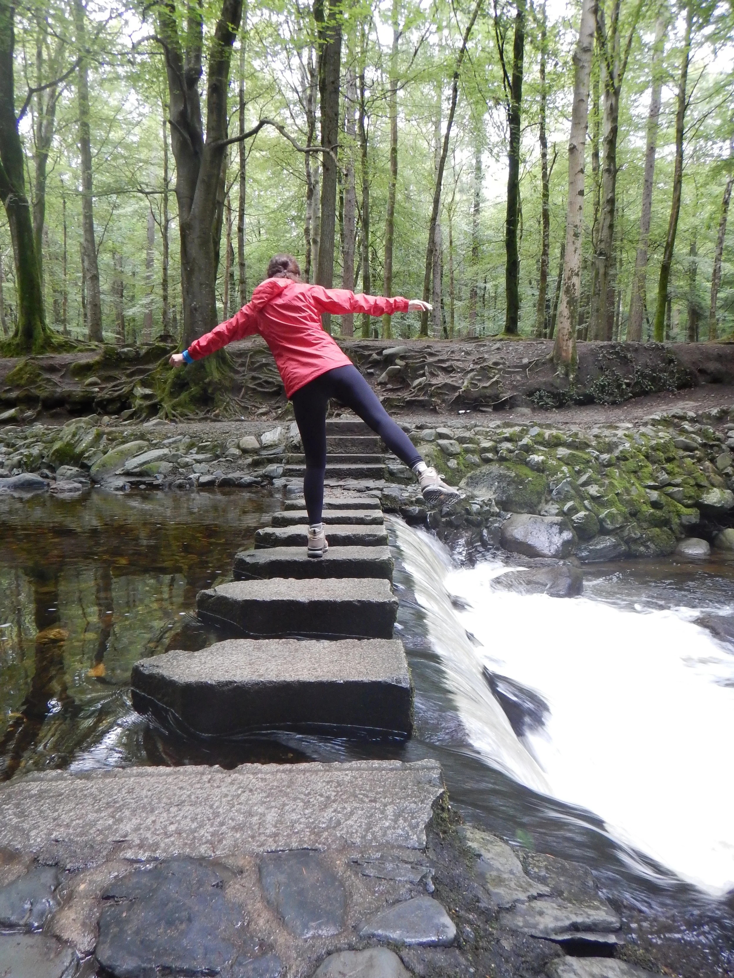 LES SOURCES DU BONHEUR