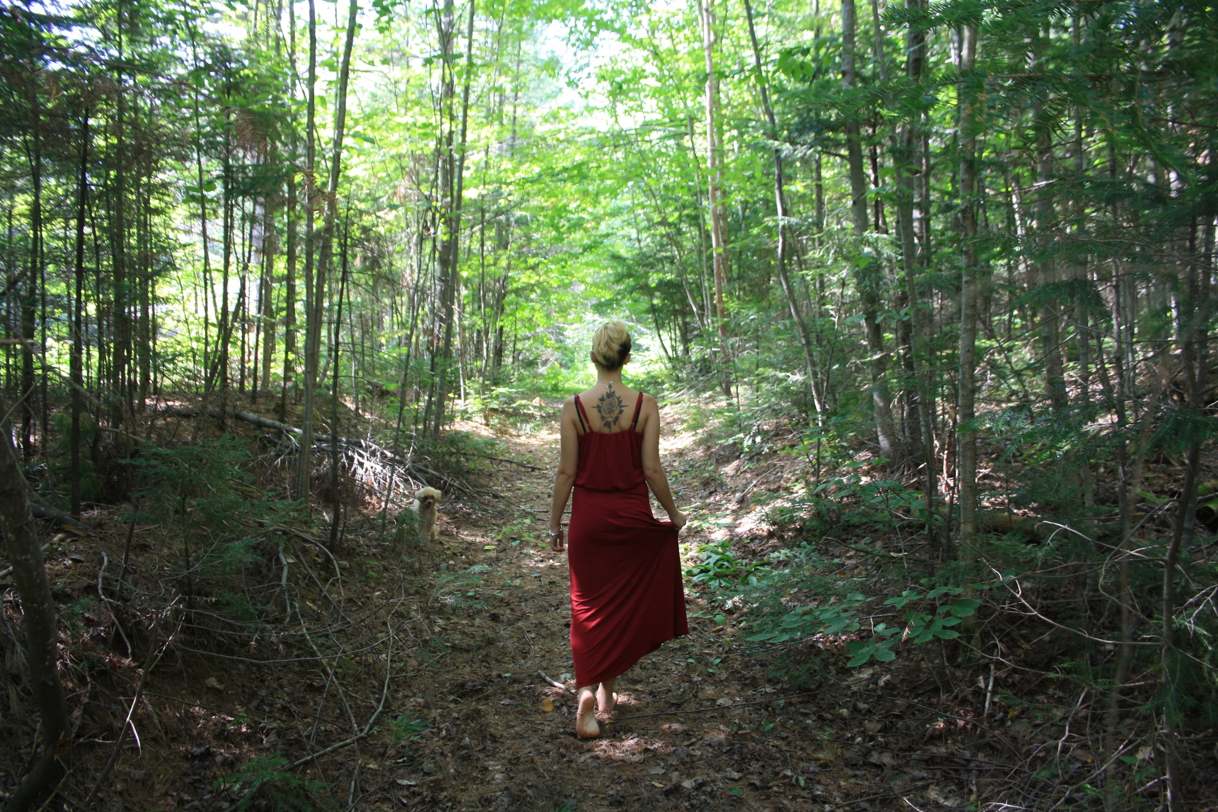 LA LONGUE ROUTE VERS L'ACCEPTATION