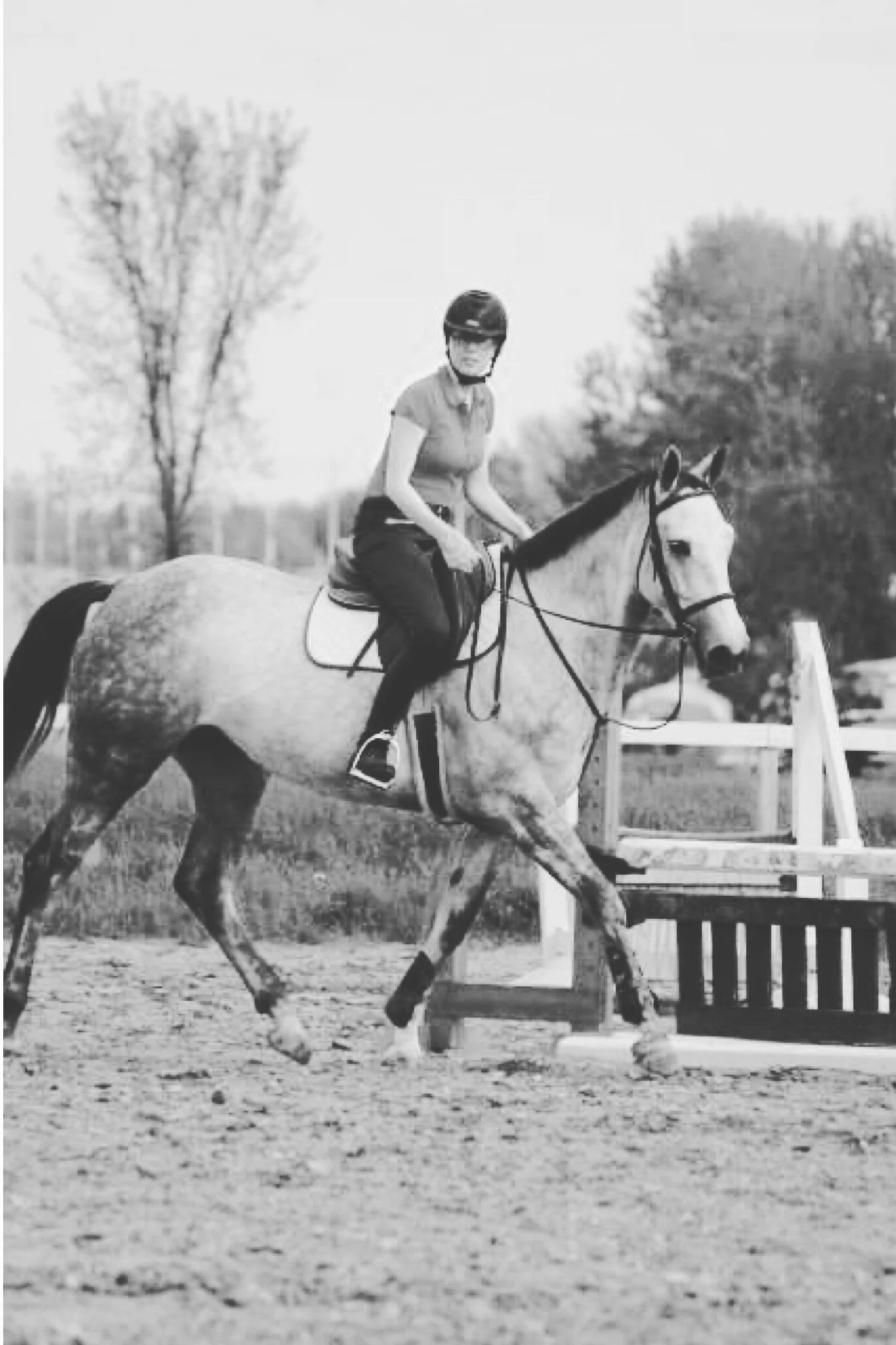 CROHN, GEORGES ET MOI