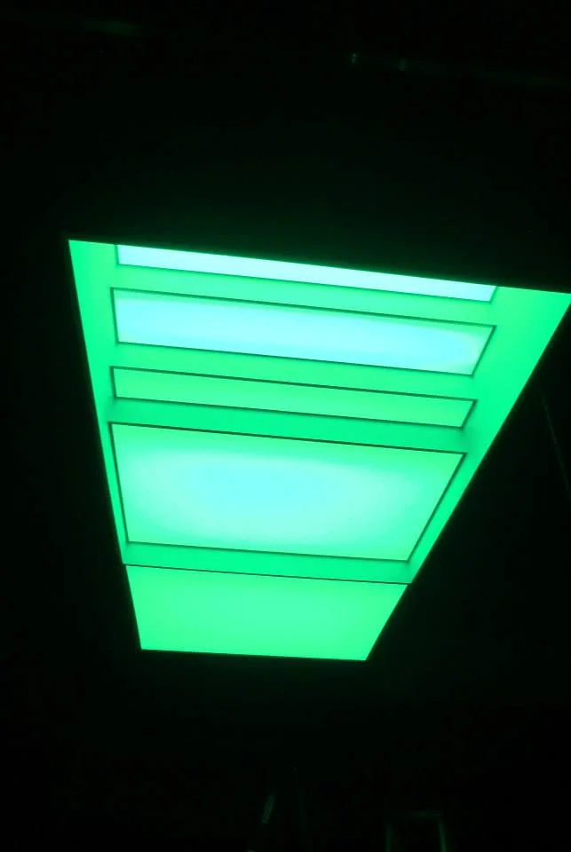 1910009_576131136710_1881231411968442085_n.jpg
