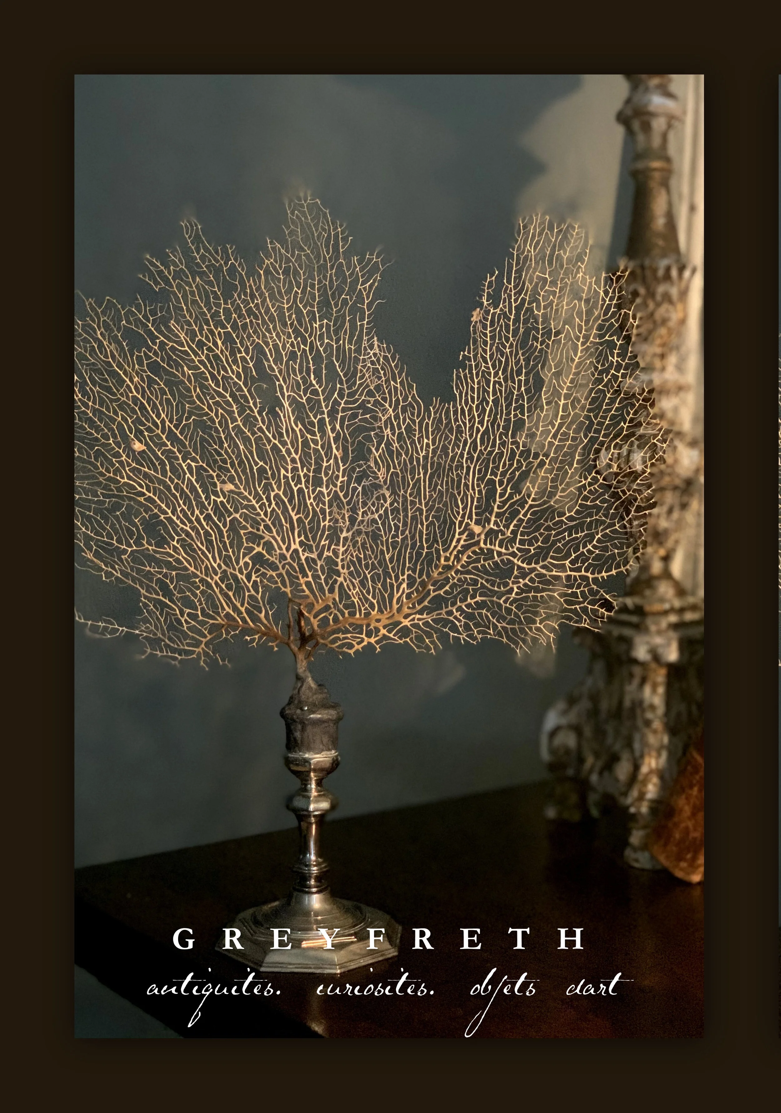 GREYFRETH+SEALIFE_PSF_WSF.jpg