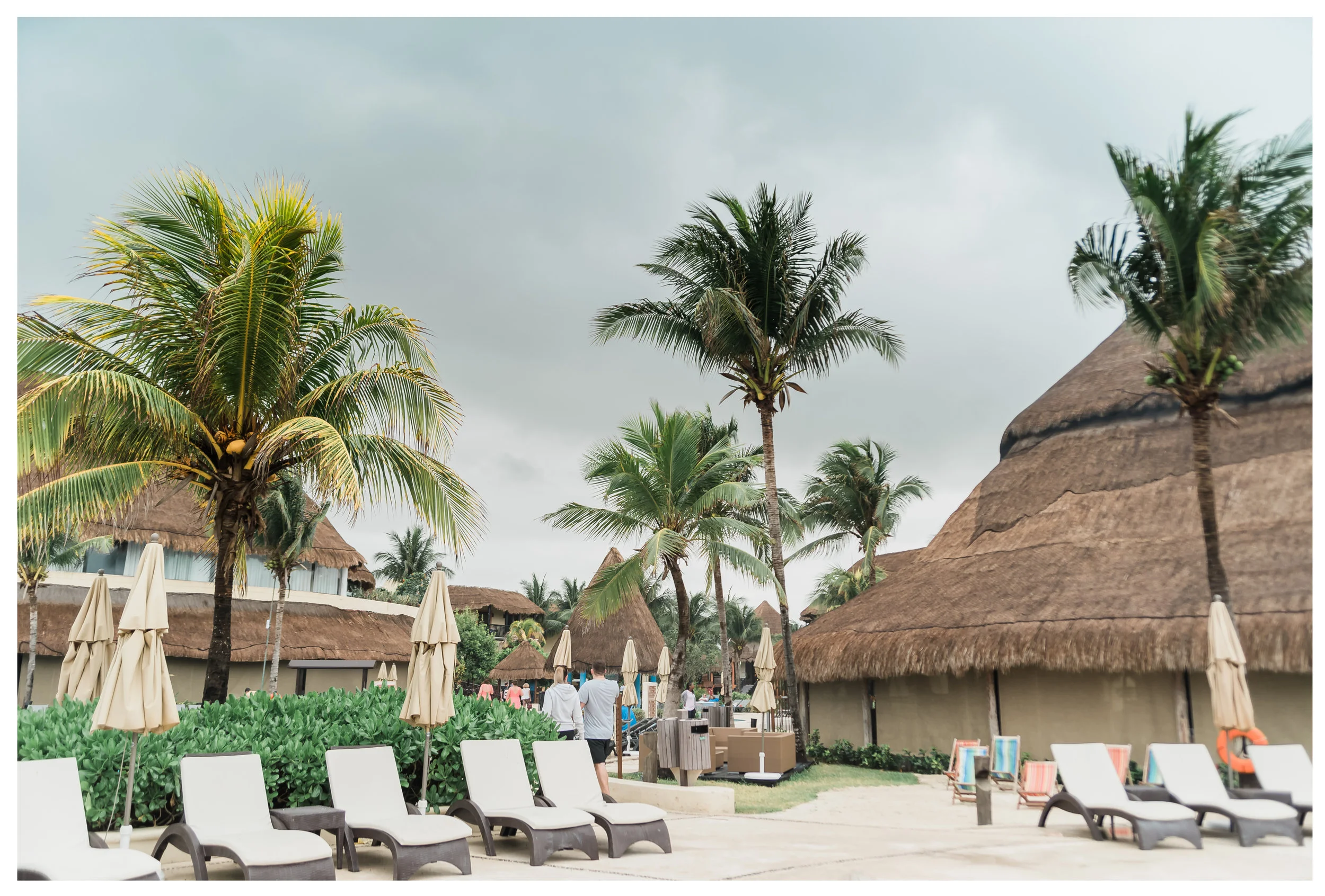 palm trees at the riviera maya Catalonia resort in Cancun Mexico for destination wedding