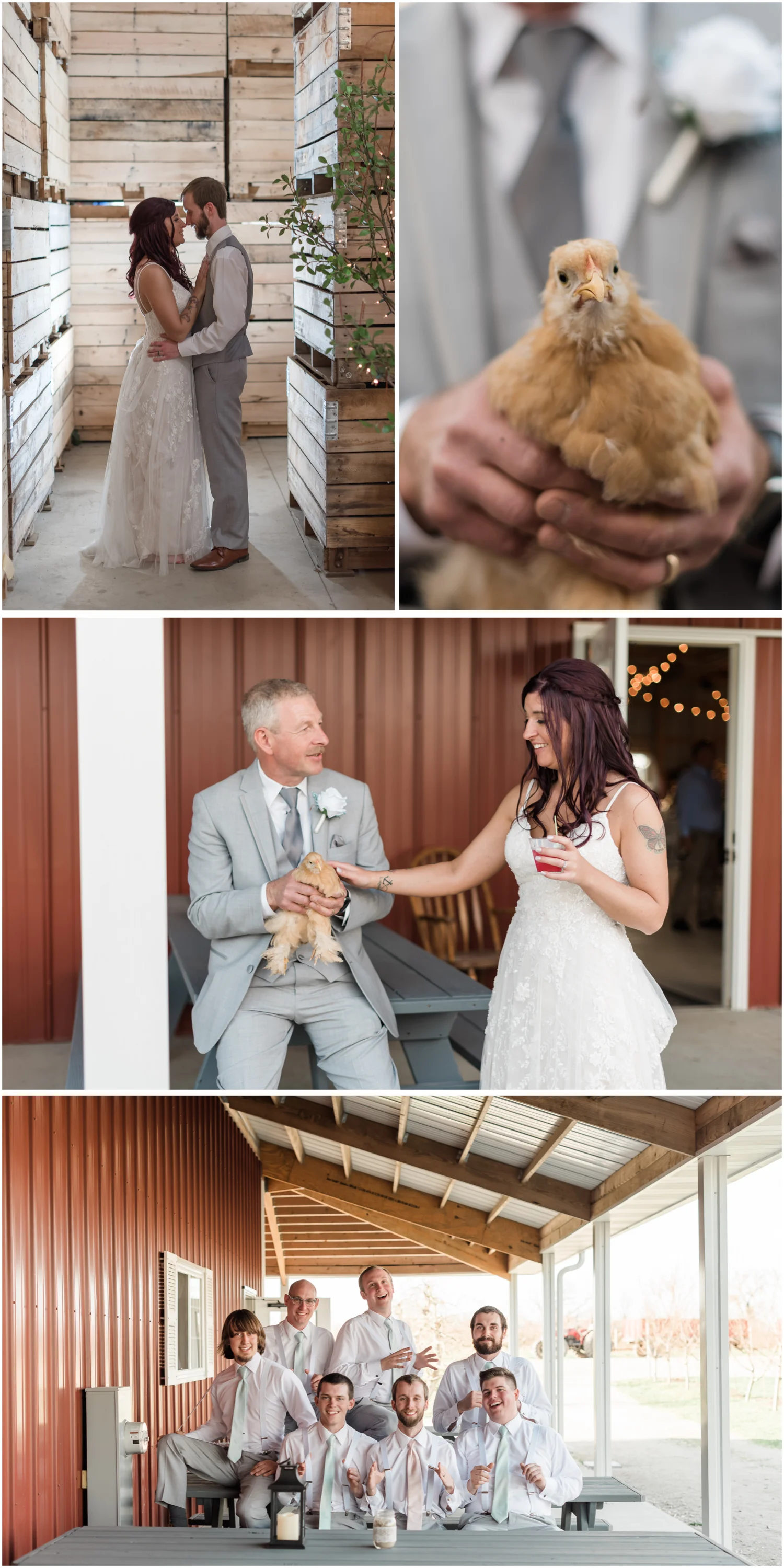 bride and chicken