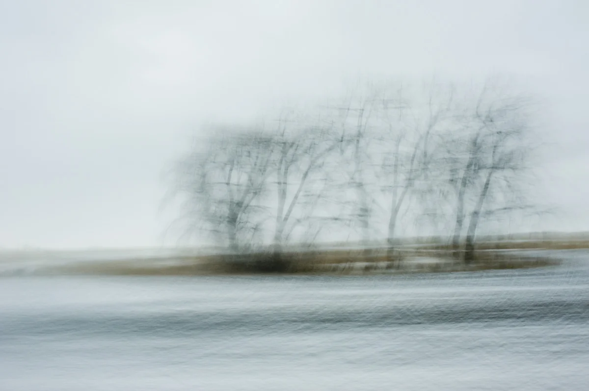 DSC_4876.jpg