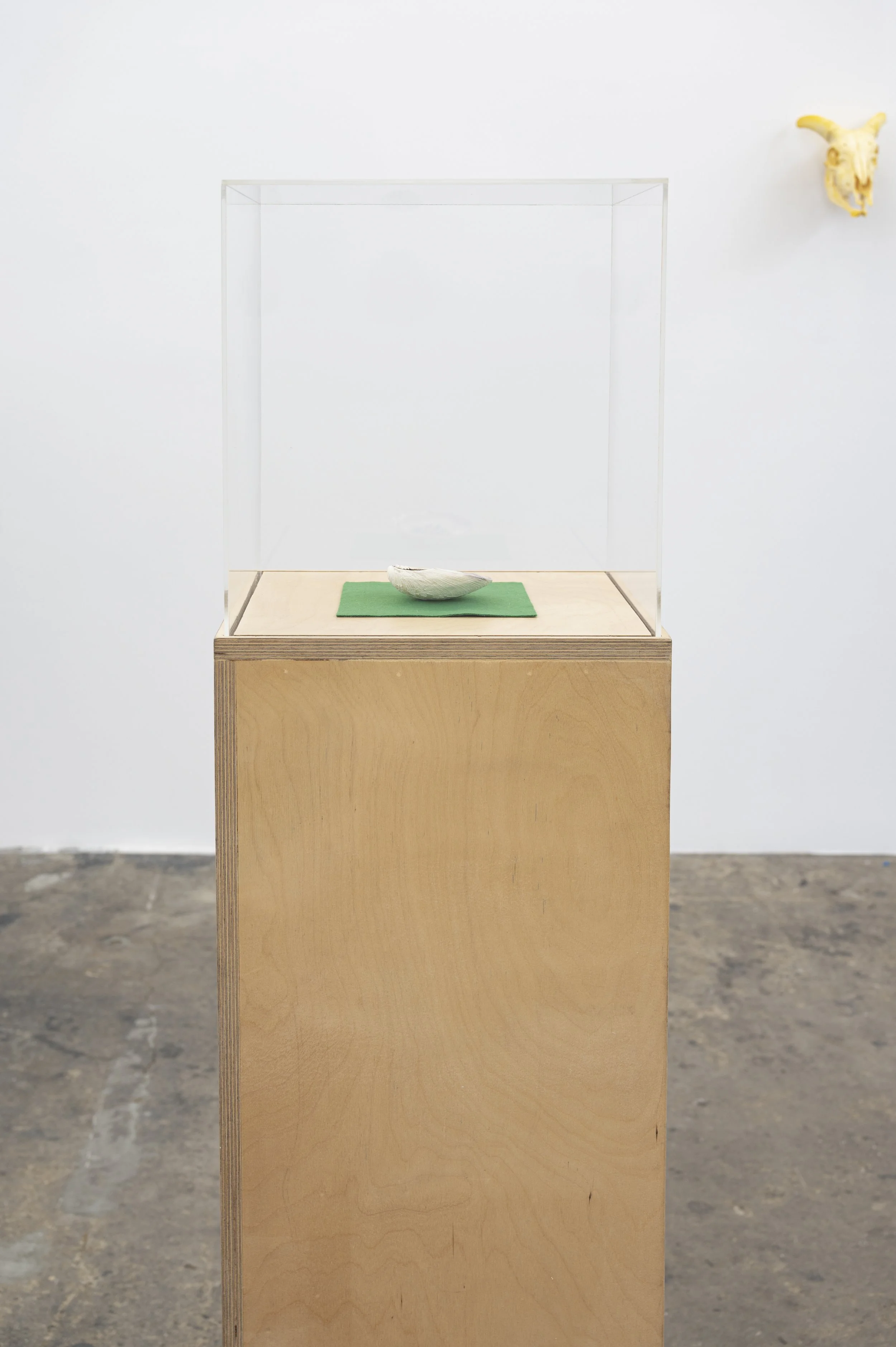 …of frontiers and phantoms installation view image courtesy of Wilding Cran Gallery