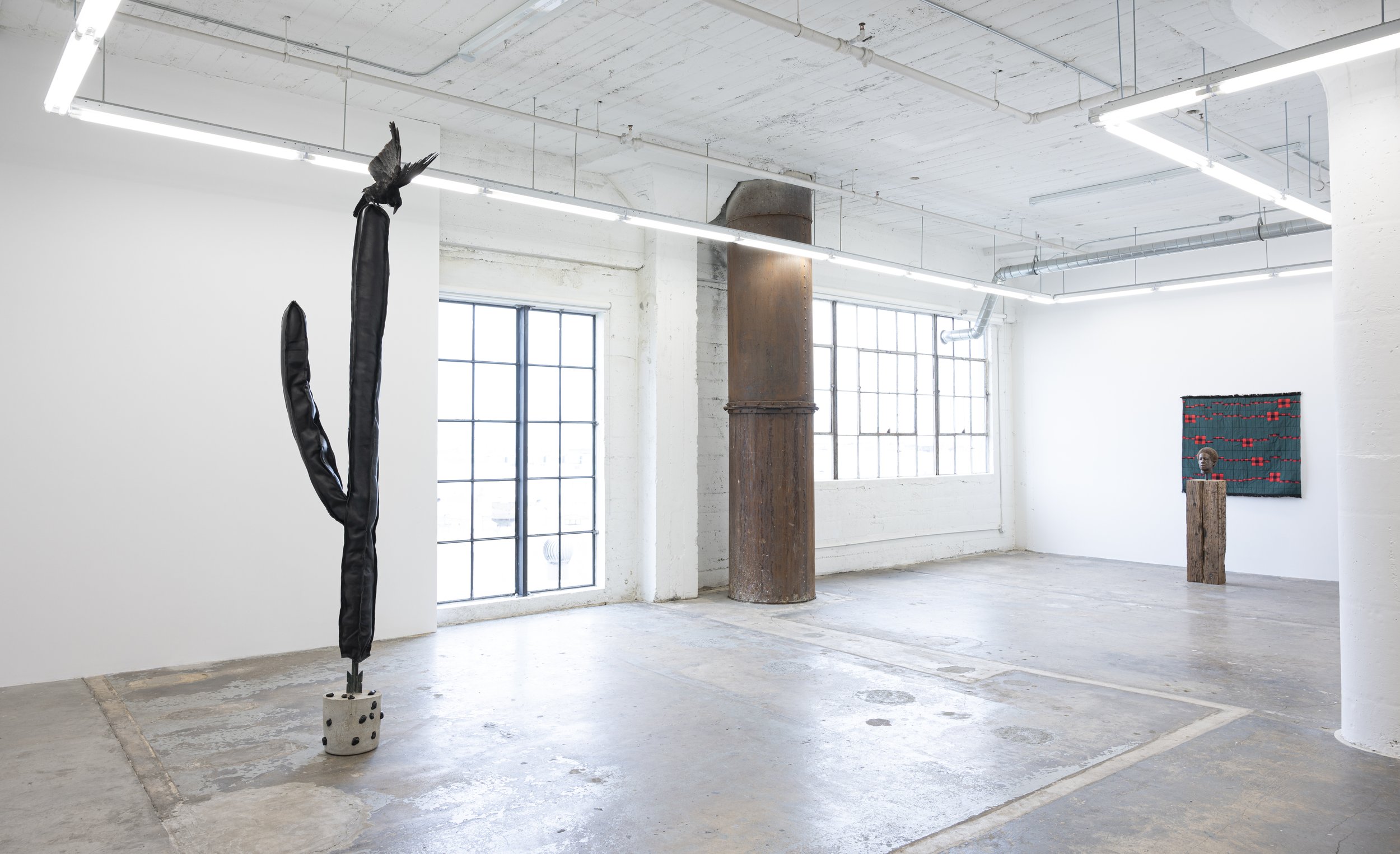 …of frontiers and phantoms installation view image courtesy of Wilding Cran Gallery