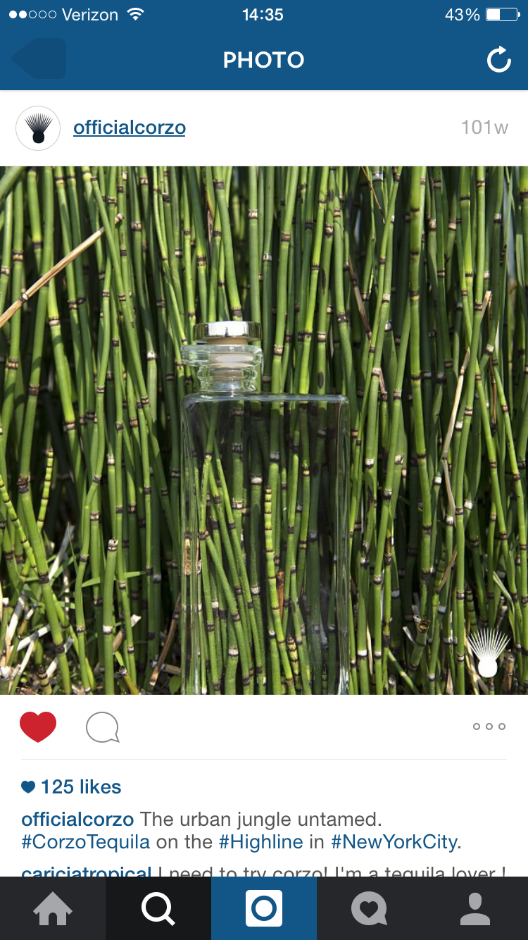  Shot at The 88 for Corzo Tequila  