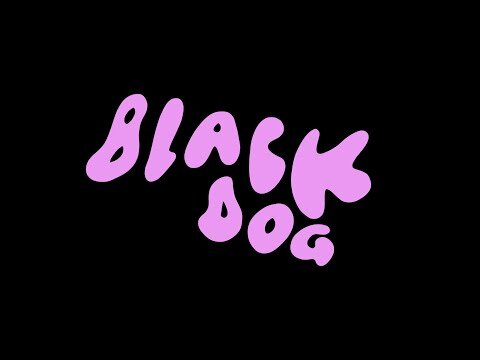 The Polar Boys - BLACK DOG - Creative Direction & Camera
