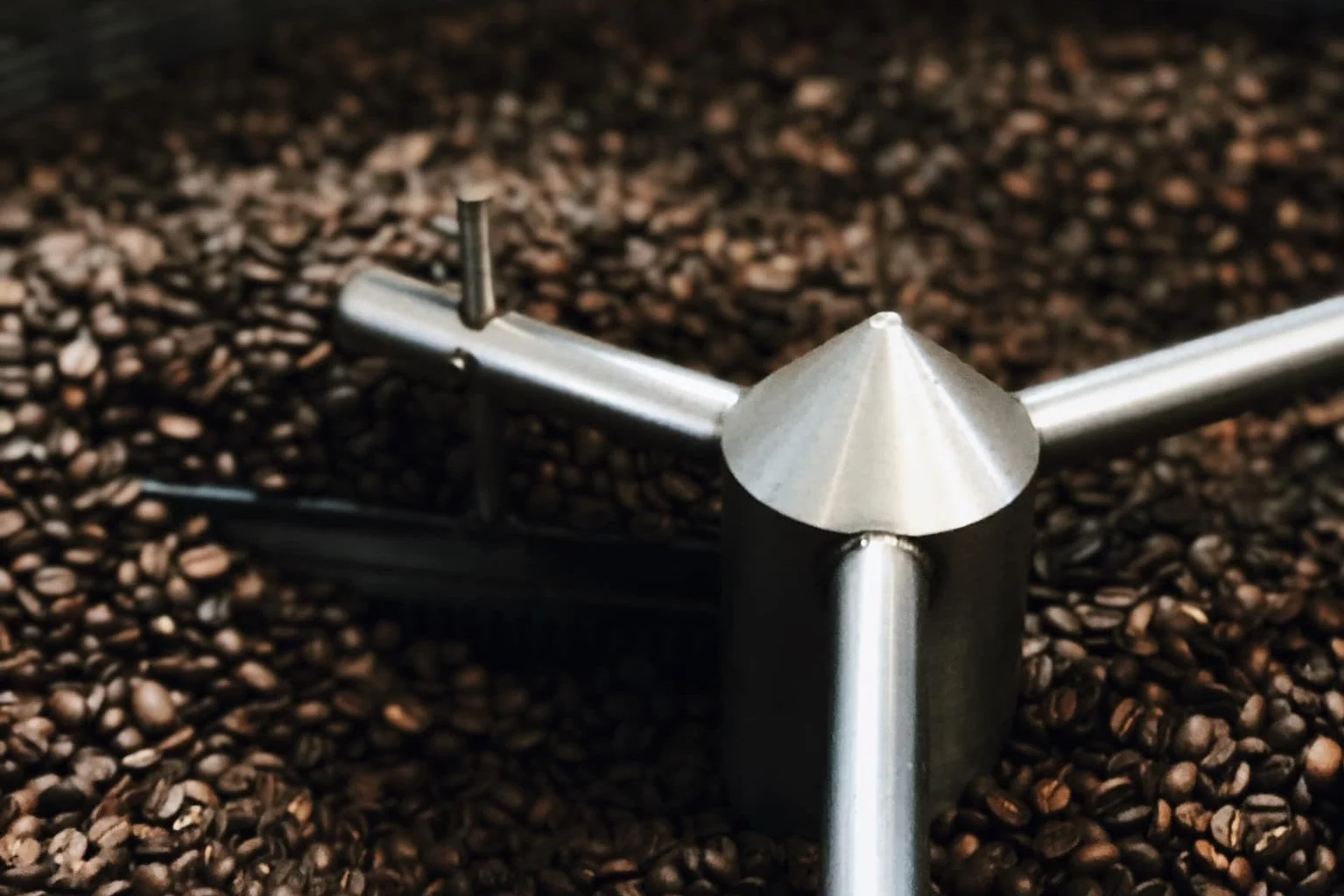 Fresh roasted coffee tastes better - truth.