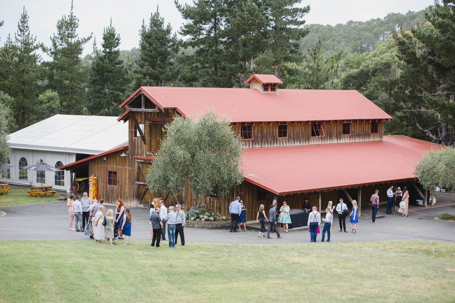 Leadfoot Ranch Ha Hei wedding
