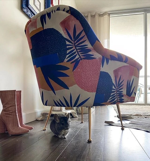 Tiny Beast #chinchillin