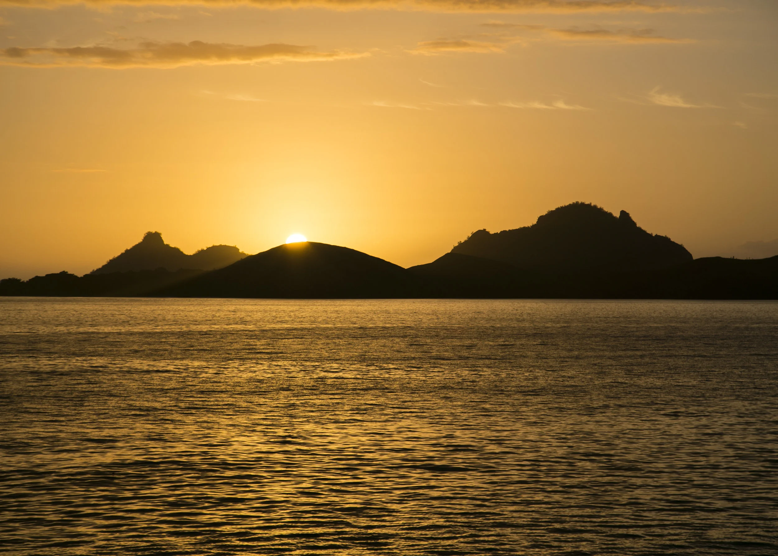 file_5472x3648_000687_edit.jpg