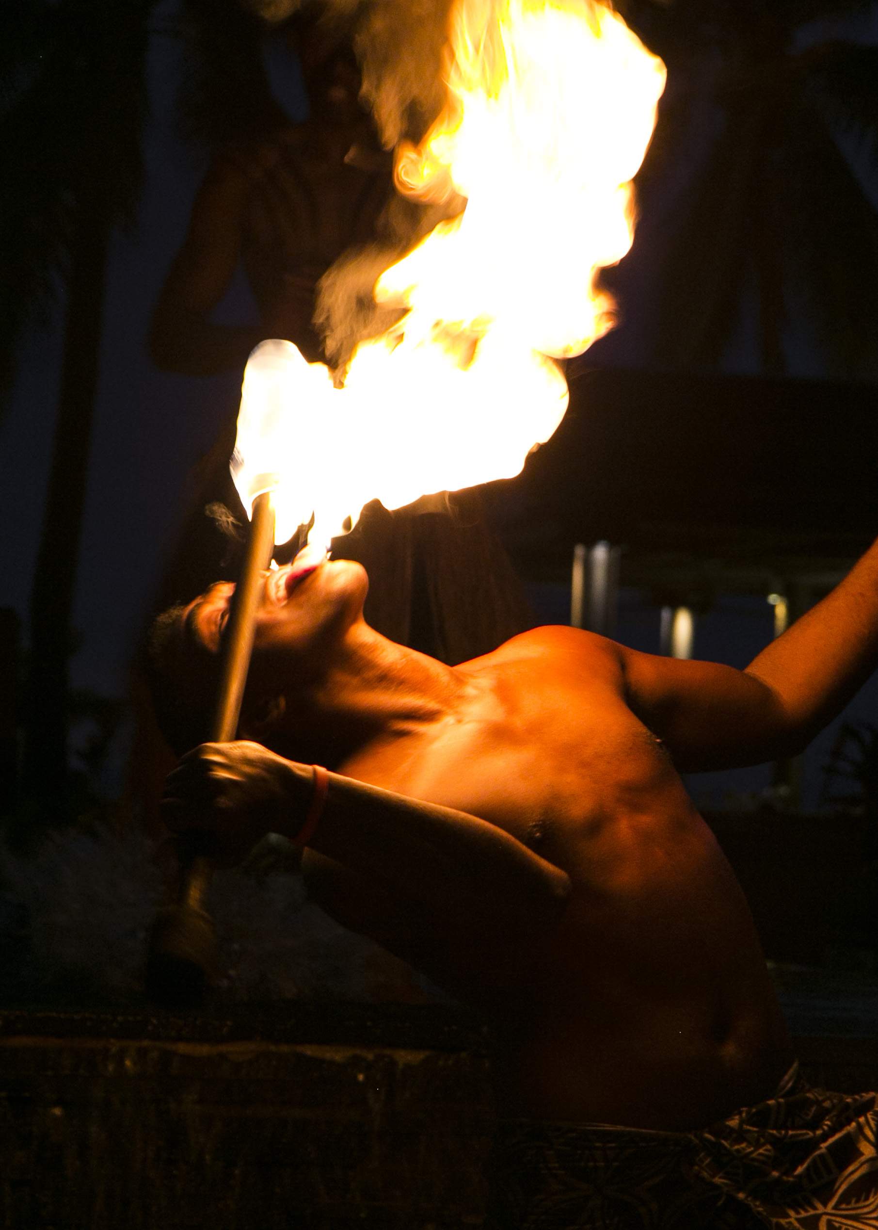 IMG_1955_edit.jpg