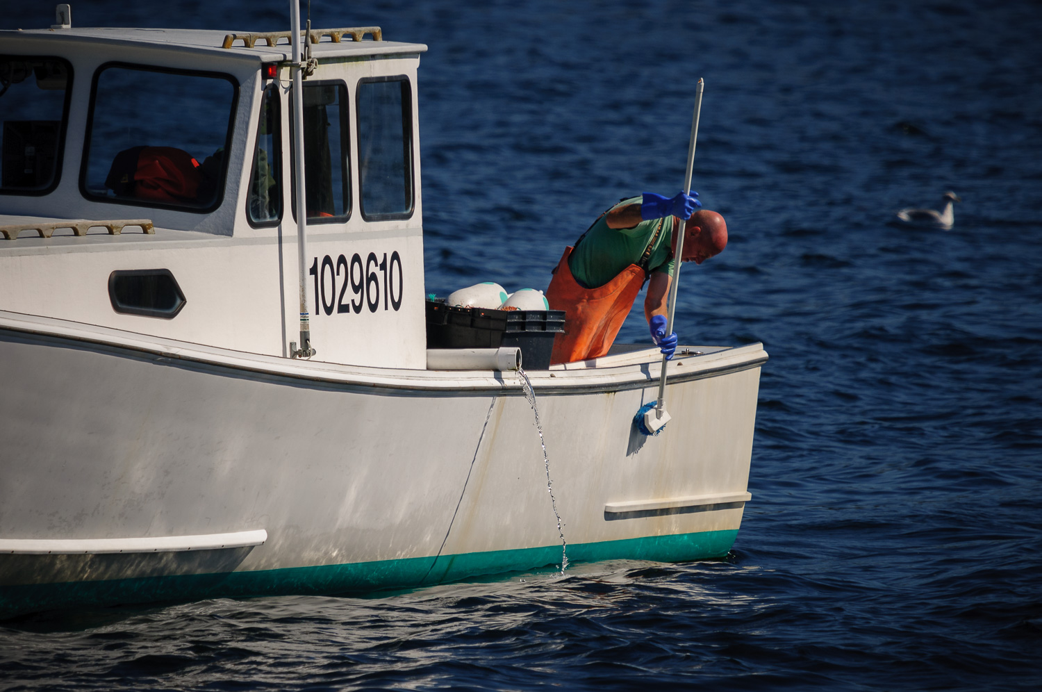  Lobsterman cleaning his boat 