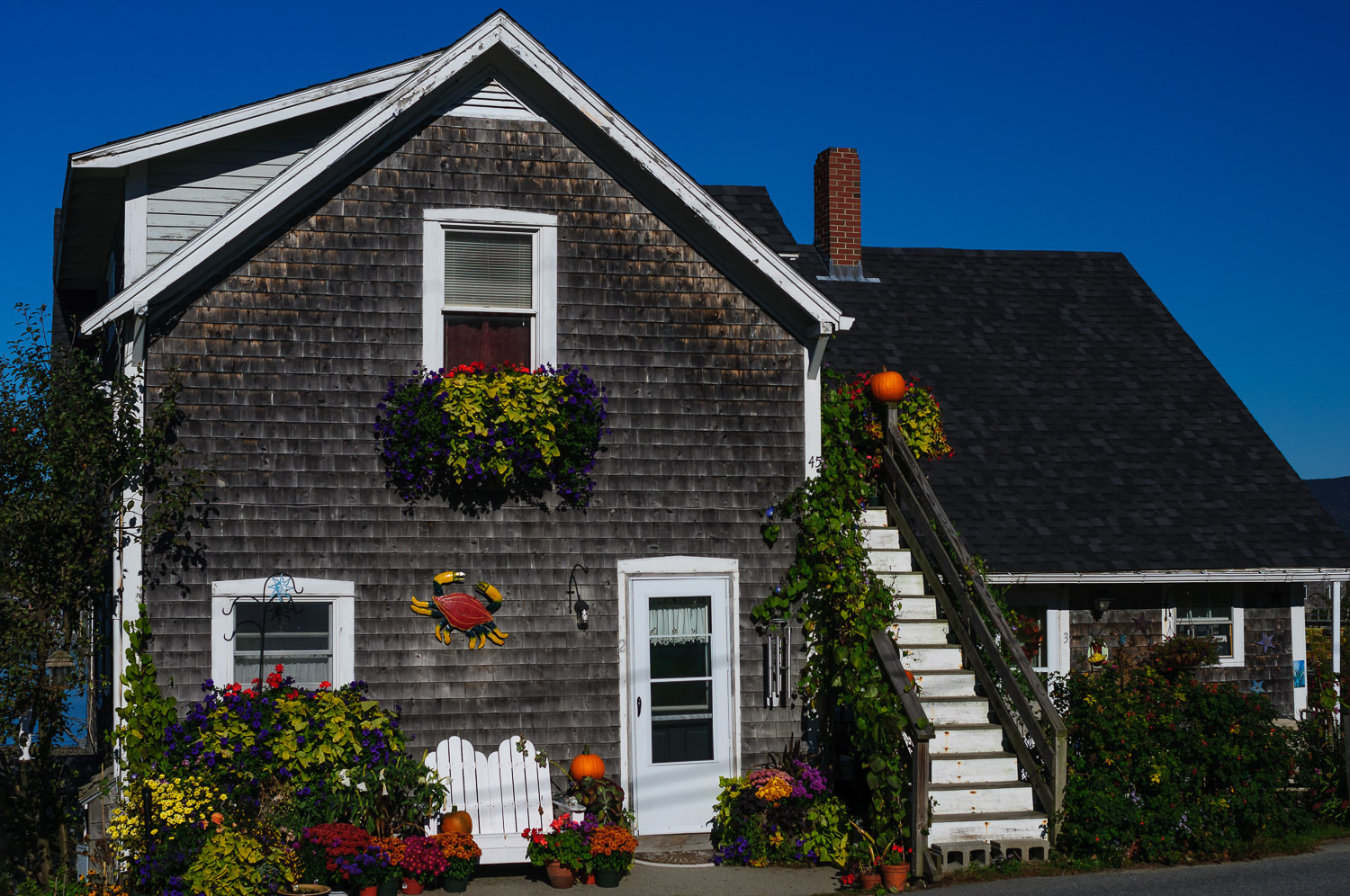  House in Bass Harbor 