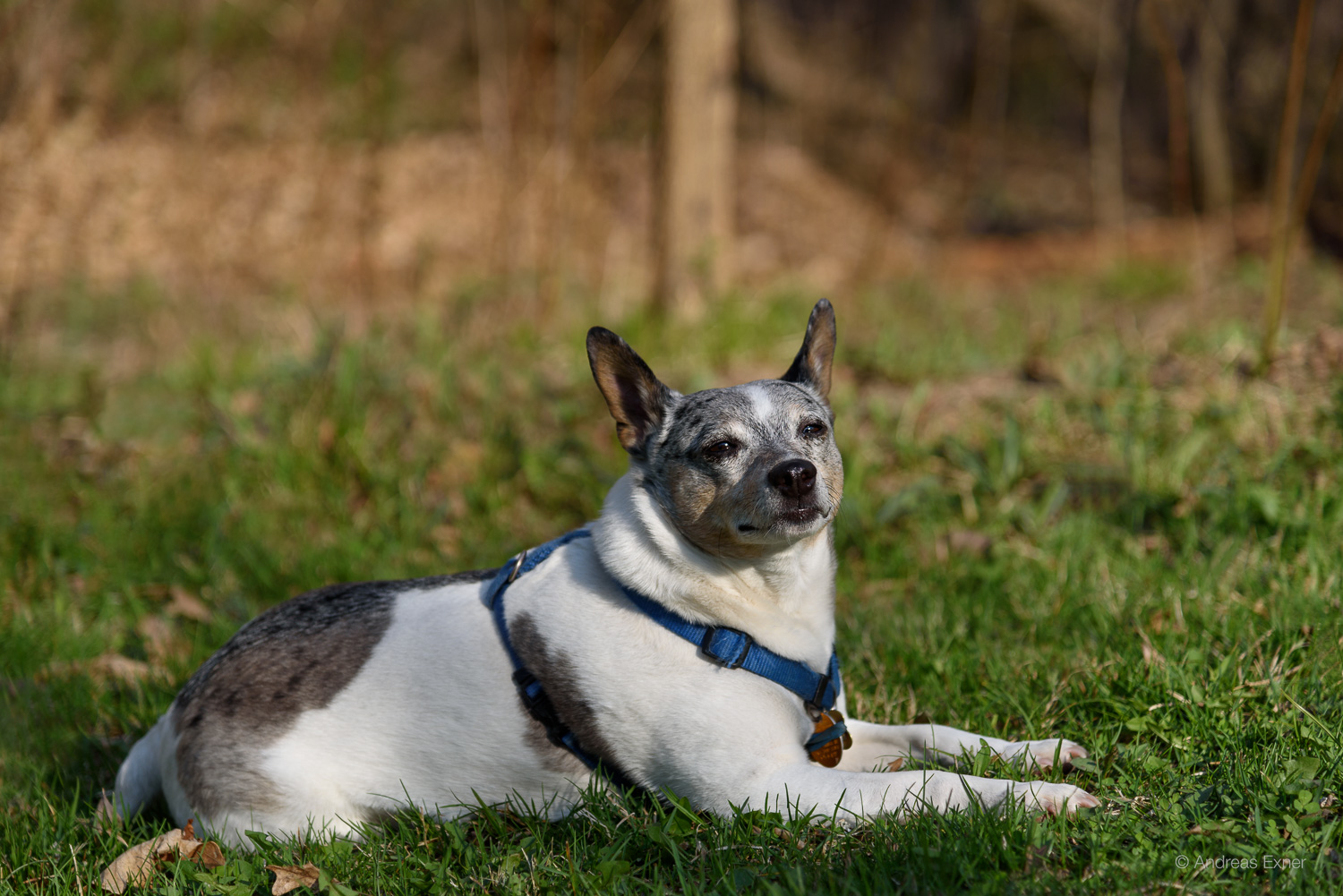 All images: NIKON D750