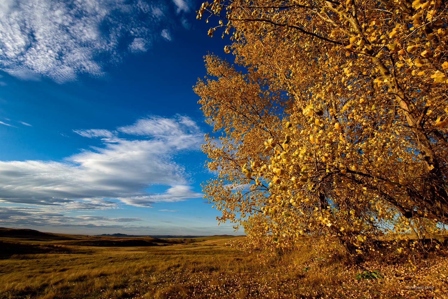 Theodore Roosevelt National Park, North unit