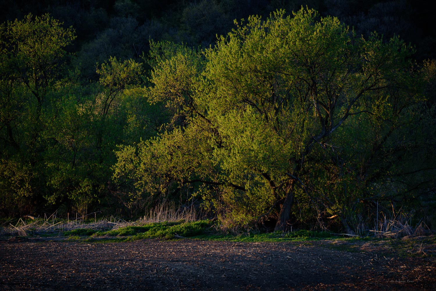 Little Maquoketa River Valley, Durango, Iowa
