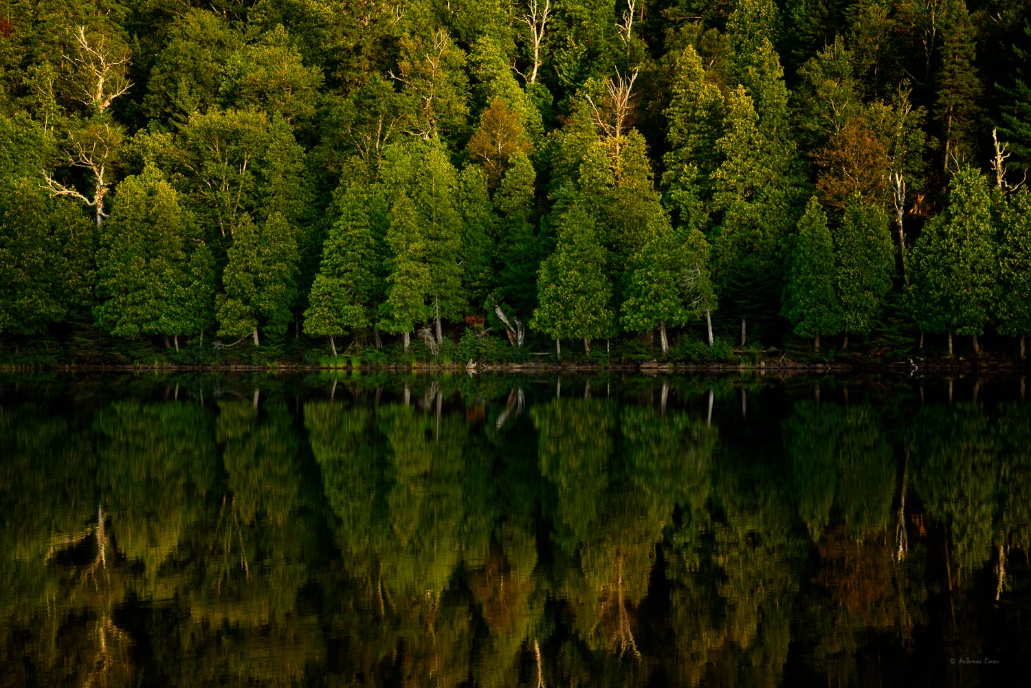 Bensen Lake, George H. Crosby Manitou State Park, Minnesota