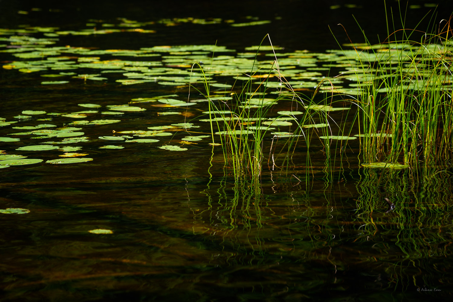 Ravine Lake, Sleeping Giant Prov. Park, Ontario, Canada ---------