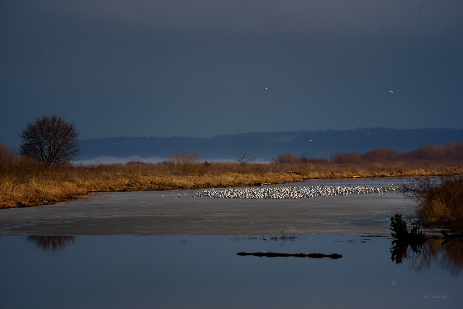 Mississippi River, Mud Lake