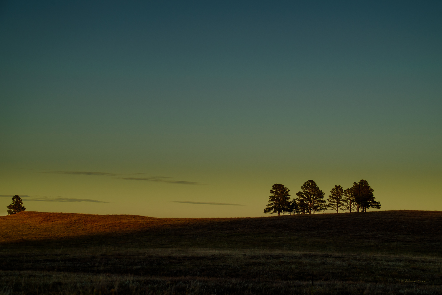  Dawn at Custer State Park, Black Hills, SD 