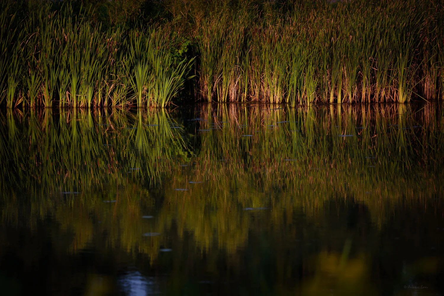 Heritage Pond, Dubuque, Iowa