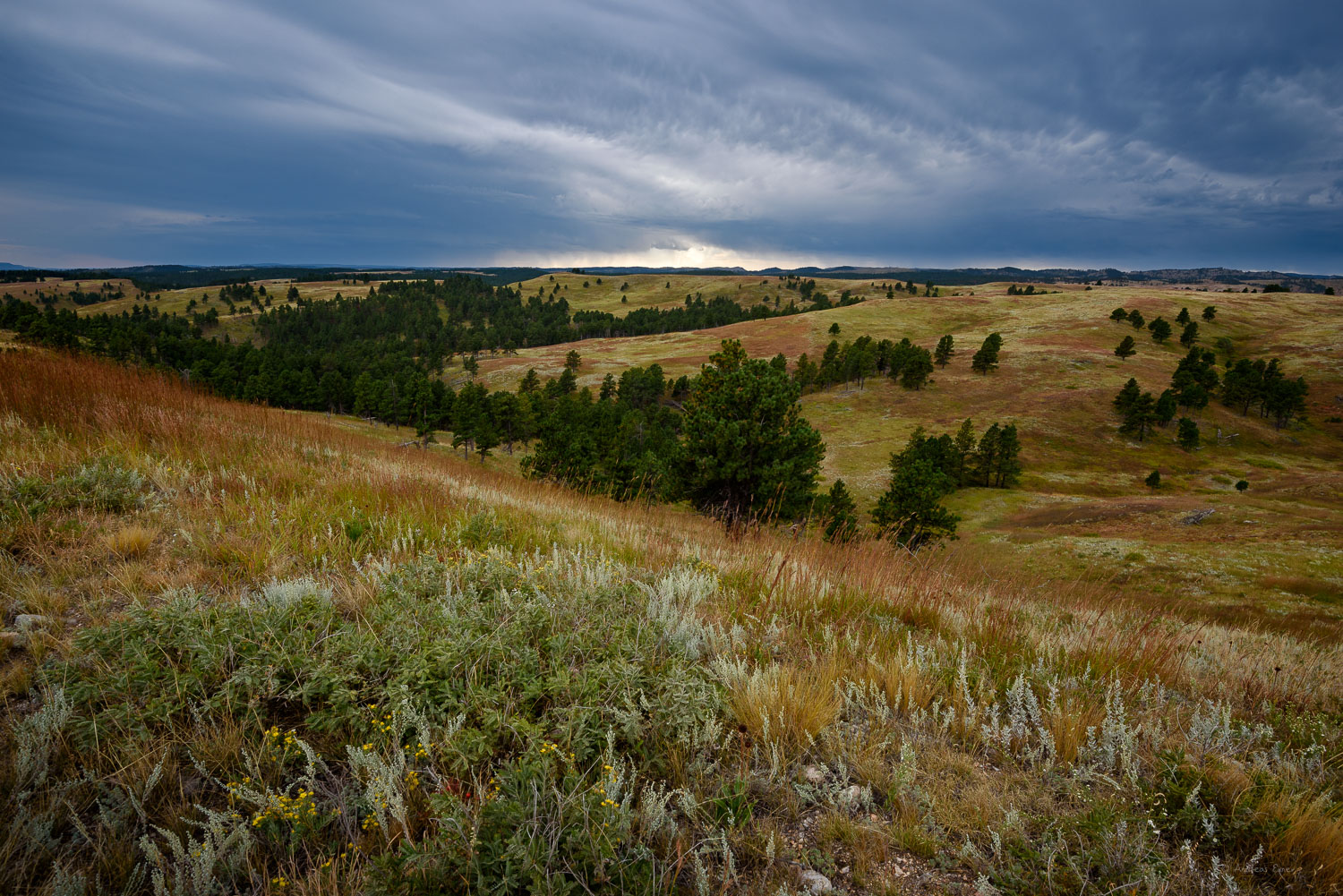 Black Hills, Wind Cave National Park, SD