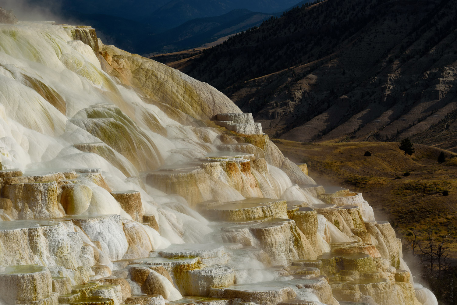 Canary Spring, Mammoth Hot Springs, Yellowstone NP