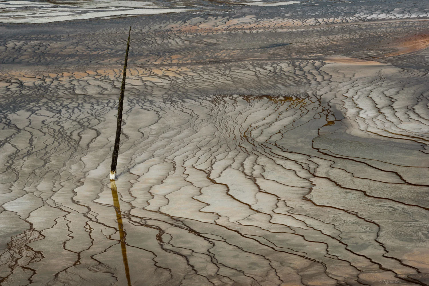 At Grand Prismatic Spring, Yellowstone NP, Wyoming