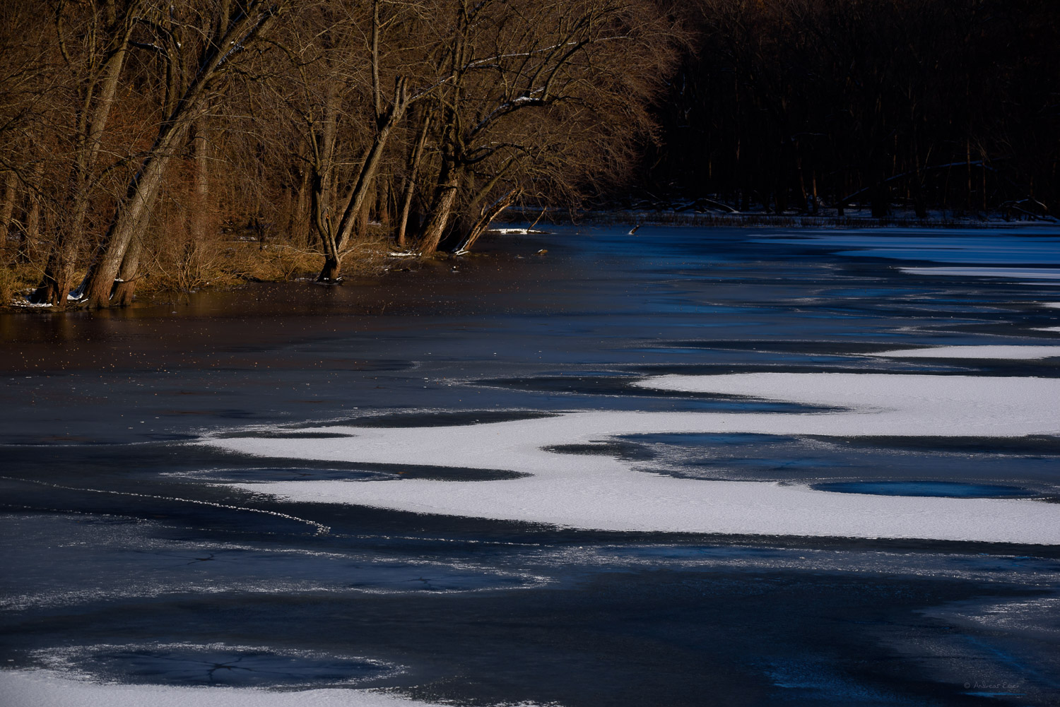 First snow in the Green Island Wetlands