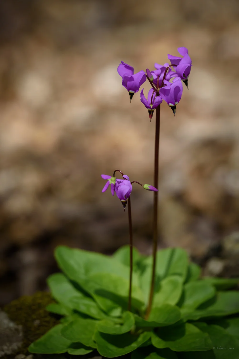 _19A6439-E_72.jpg