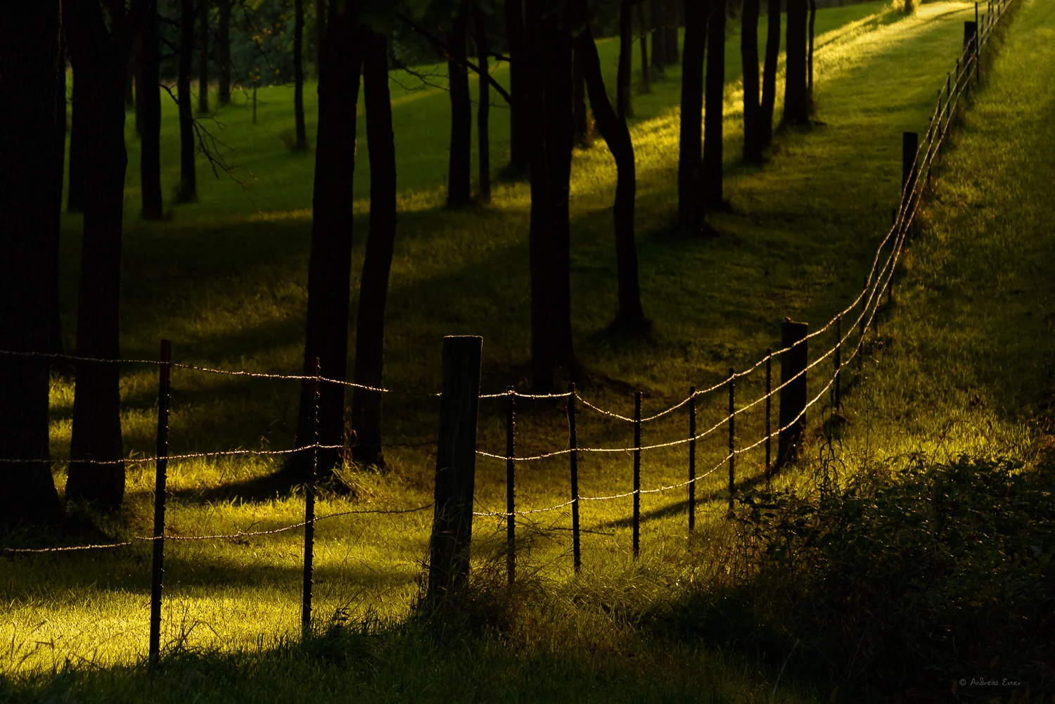 Last light, Proving Grounds Recreation Area, north of Dubuque, Iowa