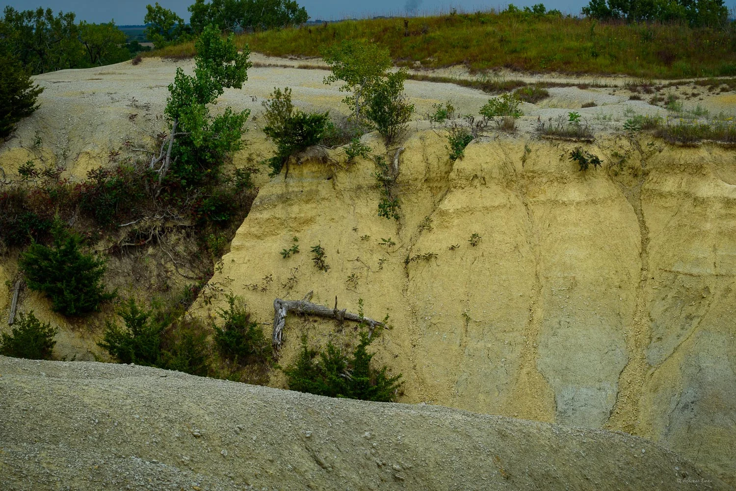Shale pit at Fossil & Prairie Park Preserve, Rockford, Iowa