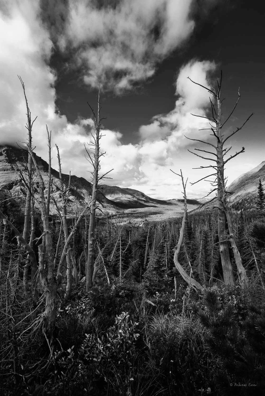 _08A6383-E_72.jpg