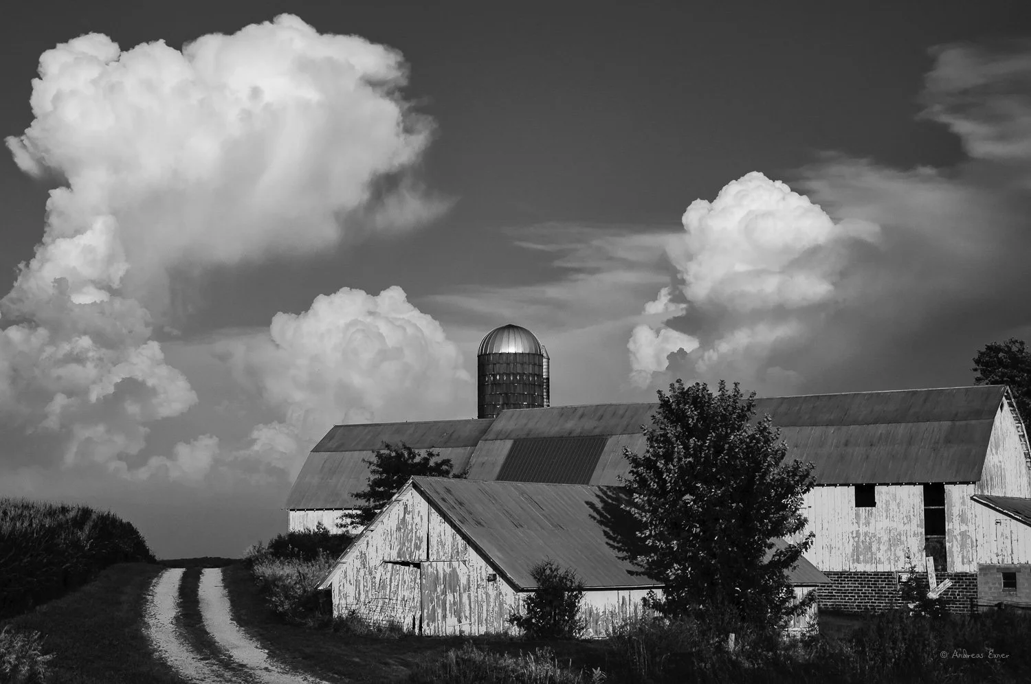 _13C3559-E-2_72.jpg