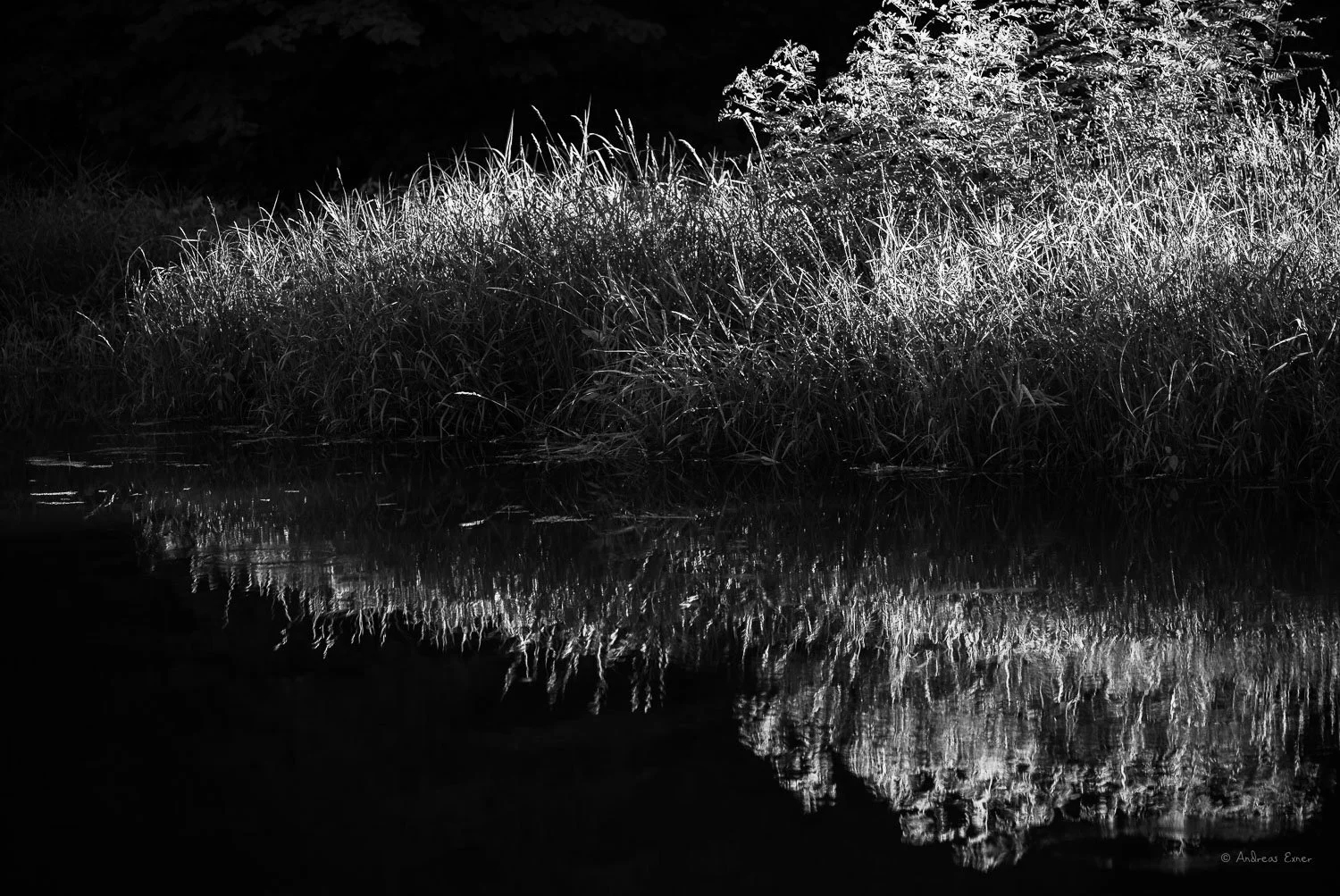_18B4387_72.jpg