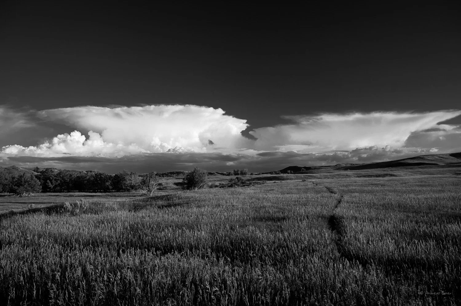 _23B2706_72.jpg